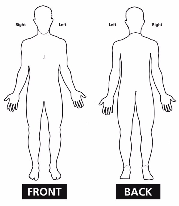 Body site front and back diagram